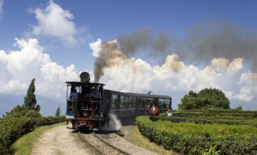 darjeeling, himalayan, railway, toy, train, steam, vehicle, wagons, toy train, transportation, rails, trains, rail, smoke, india, travel, historic, darjeeling, darjeeling, darjeeling, darjeeling, darjeeling